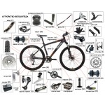 Как правильно подобрать велосипед