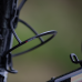 Флягодержатель Elite Leggero Carbon (EL0240401)