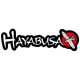 HAYABUSA HAYABUSA