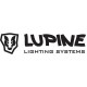 LUPINE LUPINE
