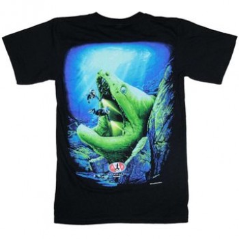 Футболка Amphibious Outfitters Shirts Eel Cave (D0004b)