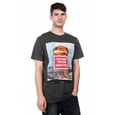 Футболка Volcom Mushrooms Vcological SS (A4331353)