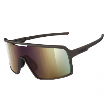 Очки мультиспортивные Limar Argo (ECARGOCE)