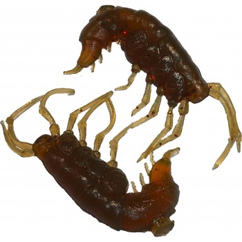 Комплект рыболовных силиконовых приманок креветка RuBaits Shrimp 1.5" (15 шт.)