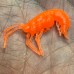 Комплект рыболовных силиконовых приманок креветка RuBaits Shrimp 1.5" (15 шт.) Комплект рыболовных силиконовых приманок креветка RuBaits Shrimp 1.5" (15 шт.)