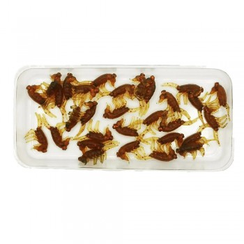 Комплект рыболовных силиконовых приманок креветка RuBaits Shrimp 1.5" (15 шт.)