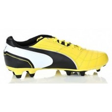 Бутсы Puma Momentta FG