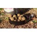 Бойлы тонущие Dynamite Baits Бойлы тонущие Dynamite Baits