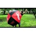 Зонт складной полуавтоматический Leatt Umbrella (8015300100)