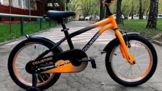 Велосипед детский Ciclistino Rider 16 (2019) Orange / Black