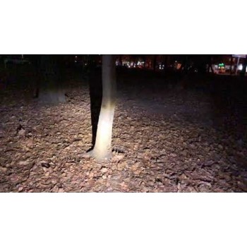 Велофара Fenix BC25R Cree XP-G3