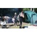 Палатка Canadian Camper Sana 4 Plus