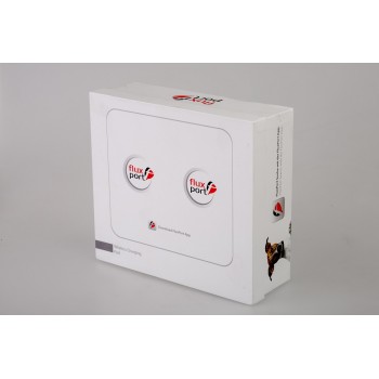 Беспроводное аккумуляторное зарядное устройство FluxPort Double Accu