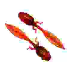 Комплект рыболовных силиконовых приманок головастик личинка RuBaits Tadpole 1.5" (12 шт.)